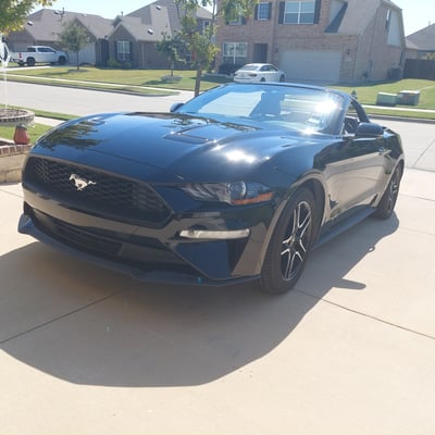 2019 Ford Mustang Premium