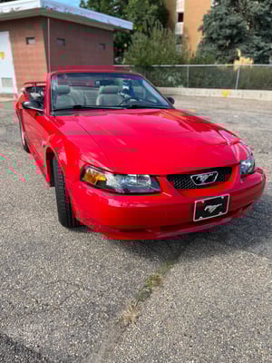 2004 Ford Mustang Base